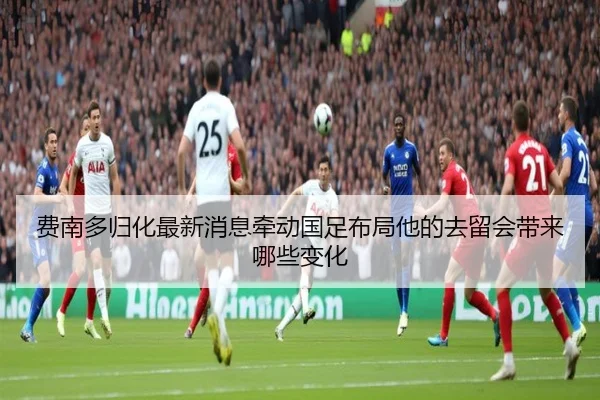费南多归化最新消息牵动国足布局他的去留会带来哪些变化